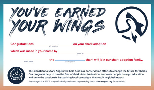 Adopt A Virtual Shark - General Shark Adoption