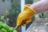 Grain cowhide leather work gloves, winter work gloves, leather gloves with red fleece lining, grain leather work gloves