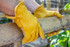 Grain cowhide leather work gloves, winter work gloves, leather gloves with red fleece lining, grain leather work gloves
