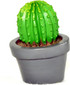 Amazon image #2