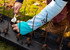 Amazon image #5
