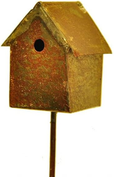 Amazon image #5