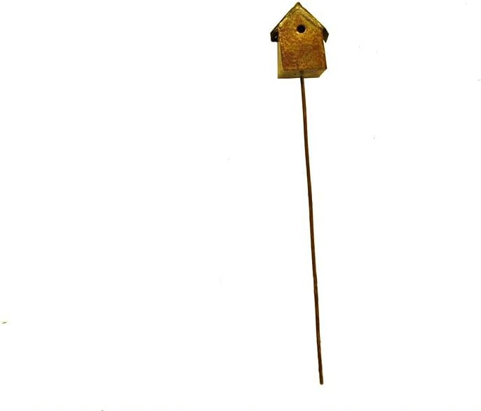 Amazon image #6