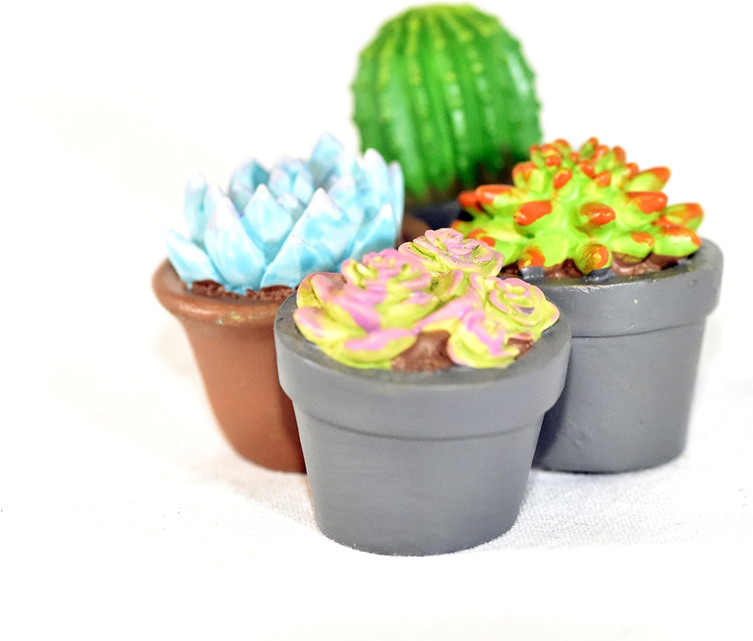 Fairy Garden Miniature Succulent, Sold by each- 4 pieces