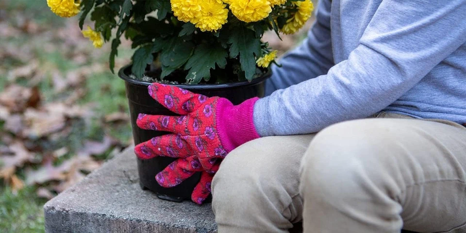 gardening gloves, gloves gardening, gardeners gloves, glove for gardening, gloves garden, gardening gloves for women, women's garden gloves