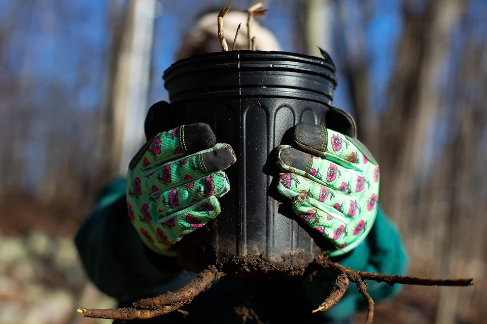 gardening gloves, garden gloves for women, gardening gloves for women, ladies garden gloves