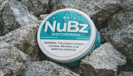 What are Nicotine Pouches?