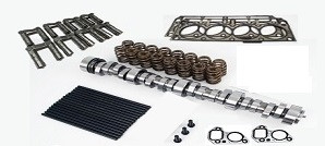 Camshaft Package LS1 - 5.7lt VT to VZ - Race Kit