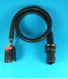 FG TPS & MOTOR DRIVE EXTENSION LOOM