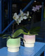 Handmade Macaron Flower Pots, Dopamine Indoor / Outdoor Garden Planter