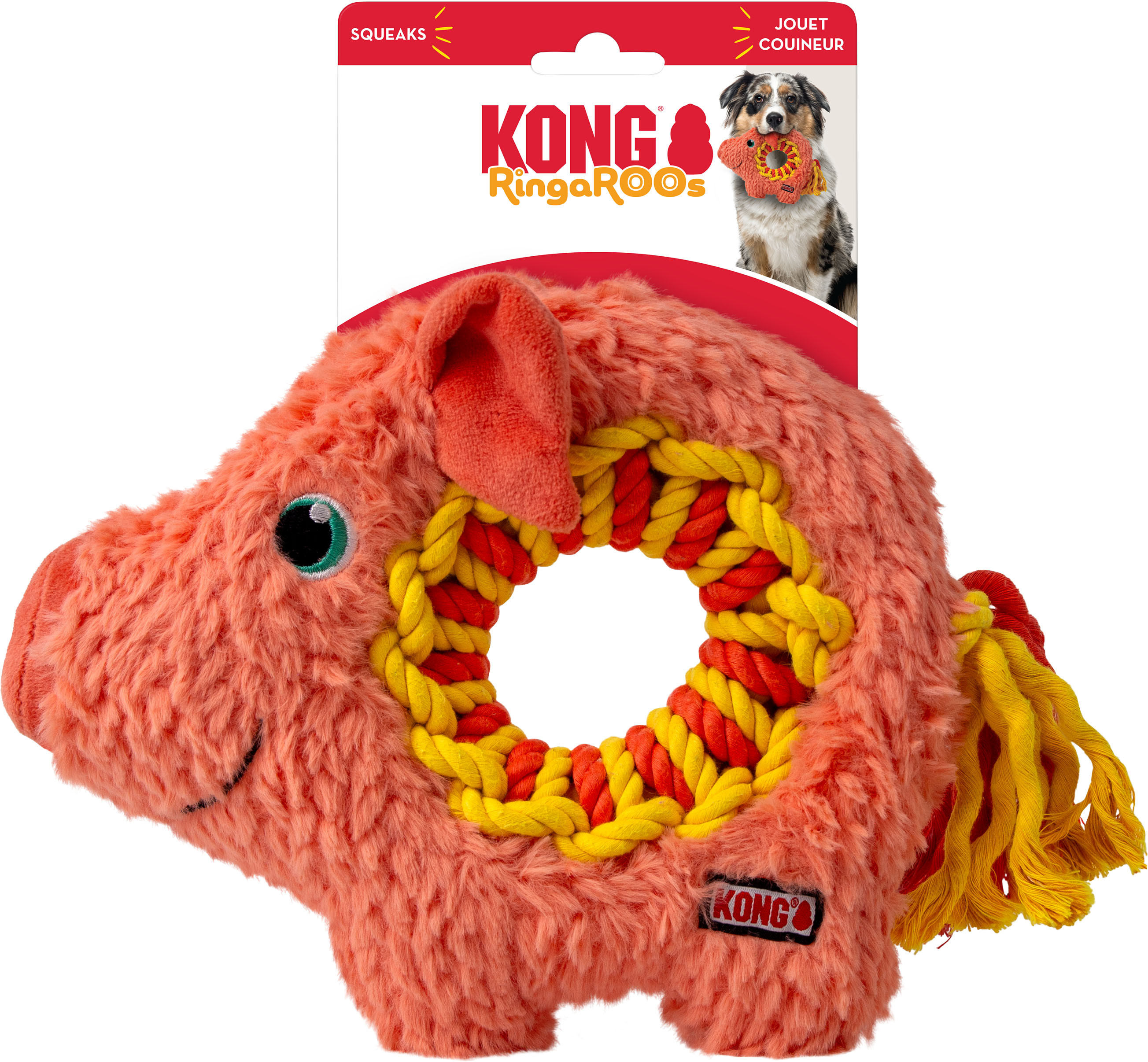 KONG REWARDS ZOOLOOZ LION | ORANGE | MD | 271022 - Bradley
