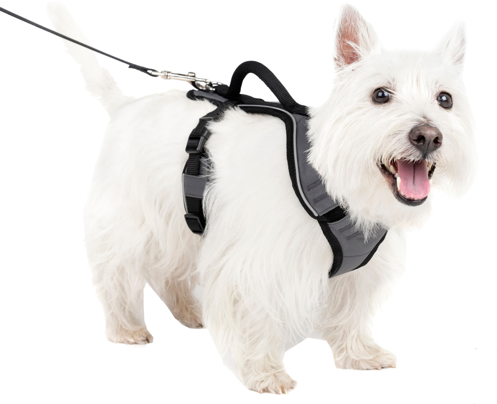 444.dogs専用 PETSAFE EASYSPORT DOG HARNESS | PINK | SM | 536194 - Bradley