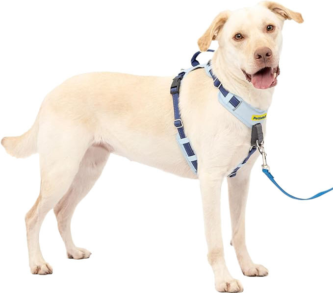 PETSAFE EASY WALK COMFORT HARNESS | BLUE | LG | 536562 - Bradley ...