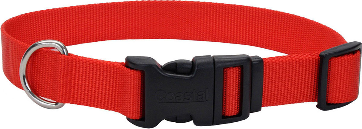 ADJUSTABLE DOG COLLAR W/ PLASTIC BUCKLE | BRIGHT PINK | 5/8 X 10
