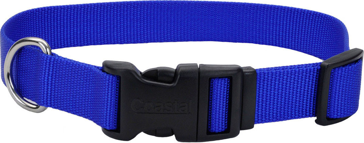ADJUSTABLE DOG COLLAR W/ PLASTIC BUCKLE | BRIGHT PINK | 5/8 X 10