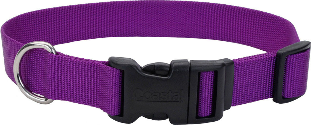 ADJUSTABLE DOG COLLAR W/ PLASTIC BUCKLE | BRIGHT PINK | 5/8 X 10