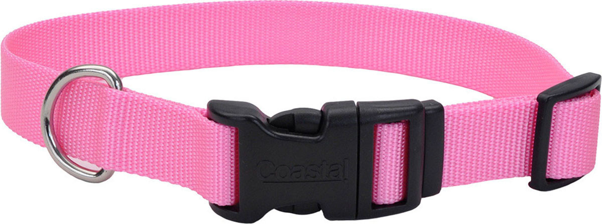新品ALEXANDRETURPAULTアレクサンドルチュルボースローケットピンク ADJUSTABLE DOG COLLAR W/ PLASTIC BUCKLE | BRIGHT PINK | 5/8 X 10