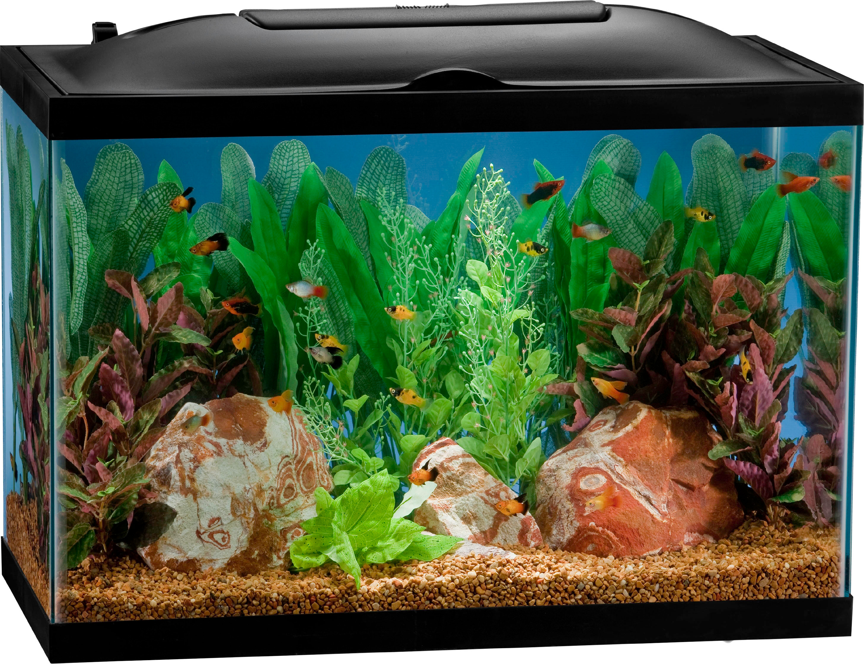 MARINELAND BIO-WHEEL LED AQUARIUM KIT | 20 GAL-24X12X16 IN