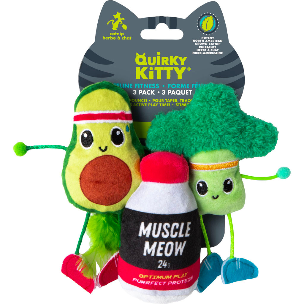 QUIRKY KITTY FELINE FITNESS CAT TOY | 3 PC | 685005 - Bradley