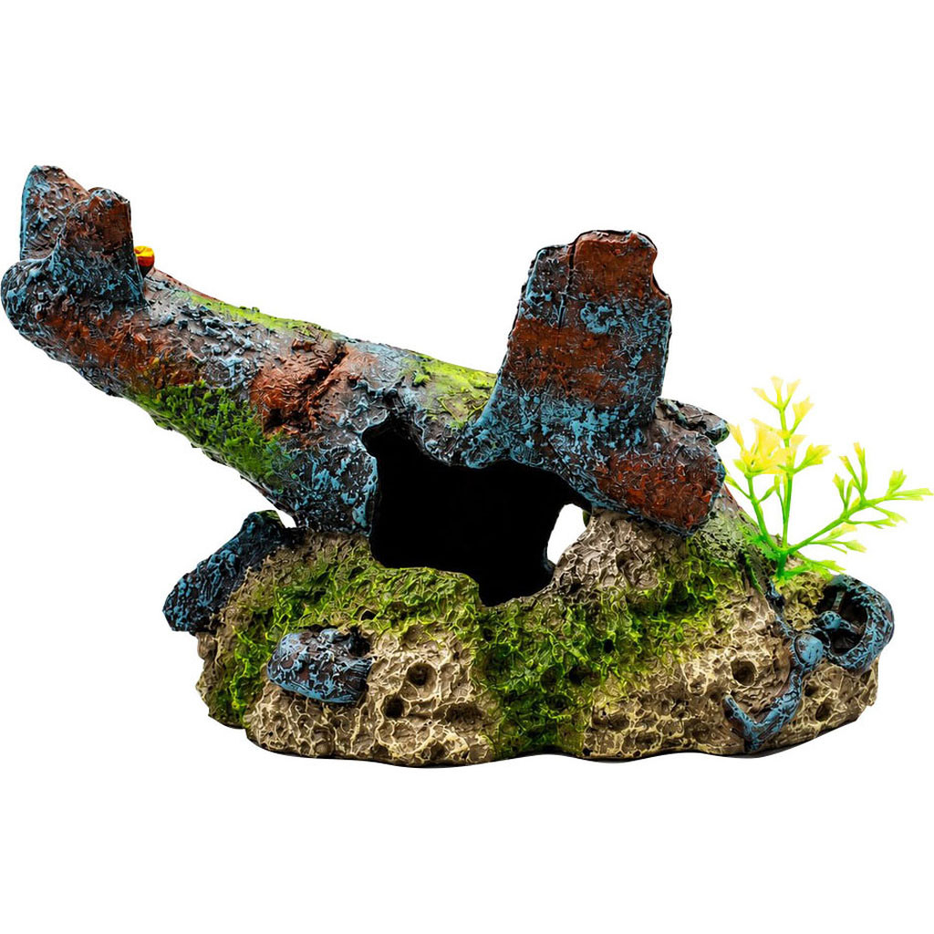 AQUATICS - Bradley Caldwell, Inc