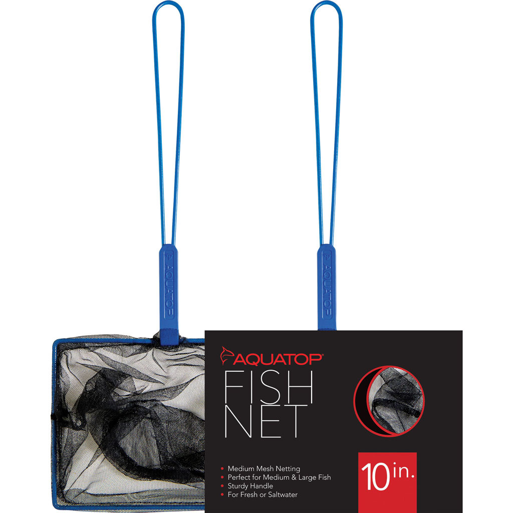 AQUATICS - Bradley Caldwell, Inc
