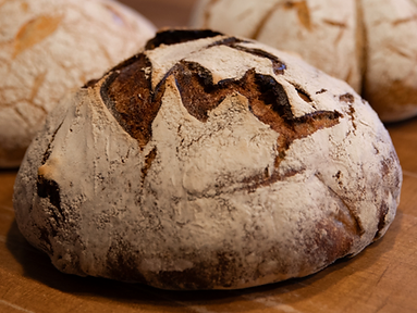 Walnut Gingerbread Sourdough Loaf