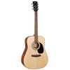 Cort CAP810 Trailblazer Acoustic Guitar Pack
