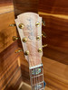 Cole Clark AN3EC-CLCL-AE - AN Grand Auditorium 3 - All Camphor Laurel