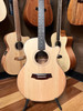 Cole Clark AN2EC-BBR - AN Grand Auditorium 2 - Bunya Blackwood with Rosewood Fingerboard