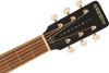 Gretsch Jim Dandy Parlour, Rex Burst