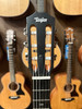 Taylor Sunset Blvd 214ce-N Plus SEB - Spruce/Rosewood