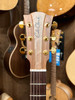 Cole Clark FL2EC-BLBLR - FL Dreadnought 2 -  All Blackwood with Rosewood Fretboard