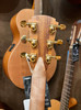 Cole Clark CCAN2EC-BB - AN Grand Auditorium Bunya/Tasmanian Blackwood