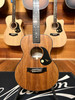 Maton EMBW6 Blackwood Series Mini Maton