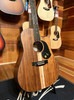 Maton EBW70C The Blackwood Dreadnought with Cutaway