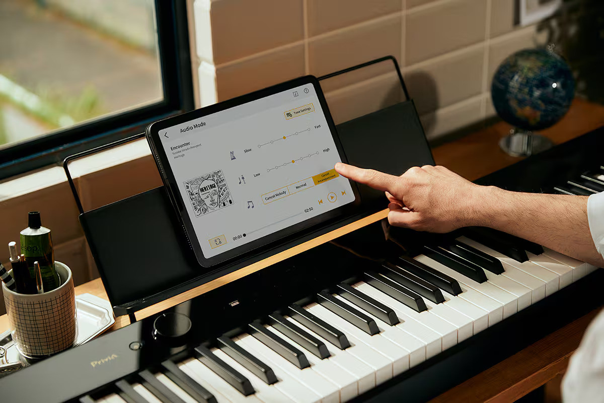 Sustain Pedal For Keyboard Casio SP-33 Pedalera Para Pianos