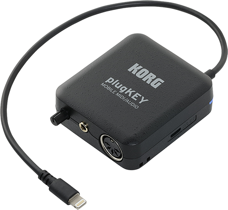 ちしており ヤフオク! plugKEY ちしており