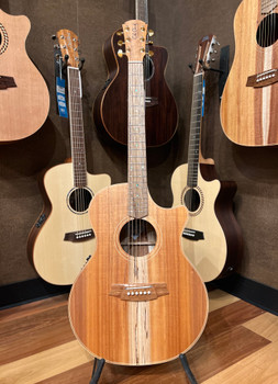 Cole Clark CCAN2EC-BLBL - AN Grand Auditorium Australian Blackwood