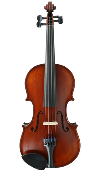 Gliga II Violin Outfit - 4/4 Size With Violino Strings & Setup