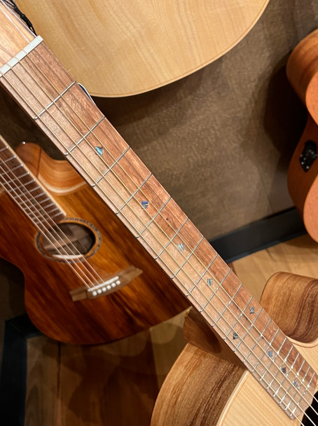 Cole Clark FL2EC-BRSO - FL Dreadnought 2 - Bunya River She Oak