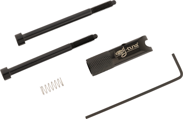 EVH D-Tuna Titanium, Black