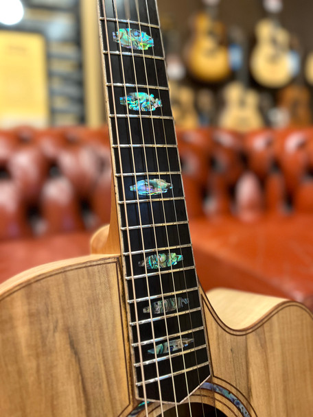 Cole Clark FL3EC-EMEME 3 Series Dreadnought - All European Maple with Ebony Fingerboard