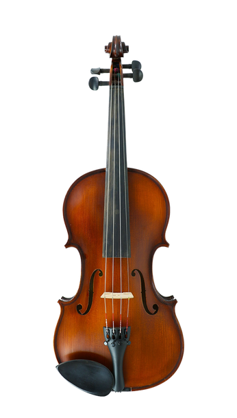 Gliga III Violin Outfit - 1/4 Size With Tonica Strings & Setup