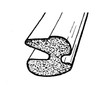 Trunk Seal.  Fits upper edge and sides of gutter-LP 43