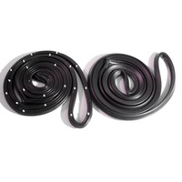 Door Seal, with Clips and Molded Ends.  For 2-Door Sedans-LM 12-D