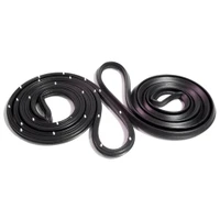 Door Seals, with Clips and Molded Ends.  For 2-Door Sedan-LM 20-O