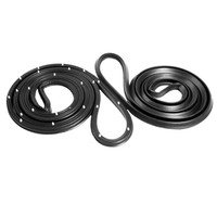 Molded Door Seals with Clips.  For 2-Door Sedan.  Pair R&L-LM 21-E