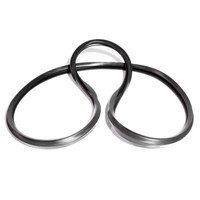 Vulcanized Side Front-Rear Sliding Window Seal-VQT 9600