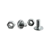 License Plate Nuts & Bolts-WF 3002
