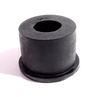 Spring and Shackle Bushing-BN 21